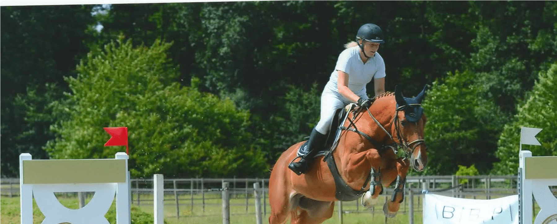 Saut d'obstacles: Comment aborder un vertical avec son cheval ?