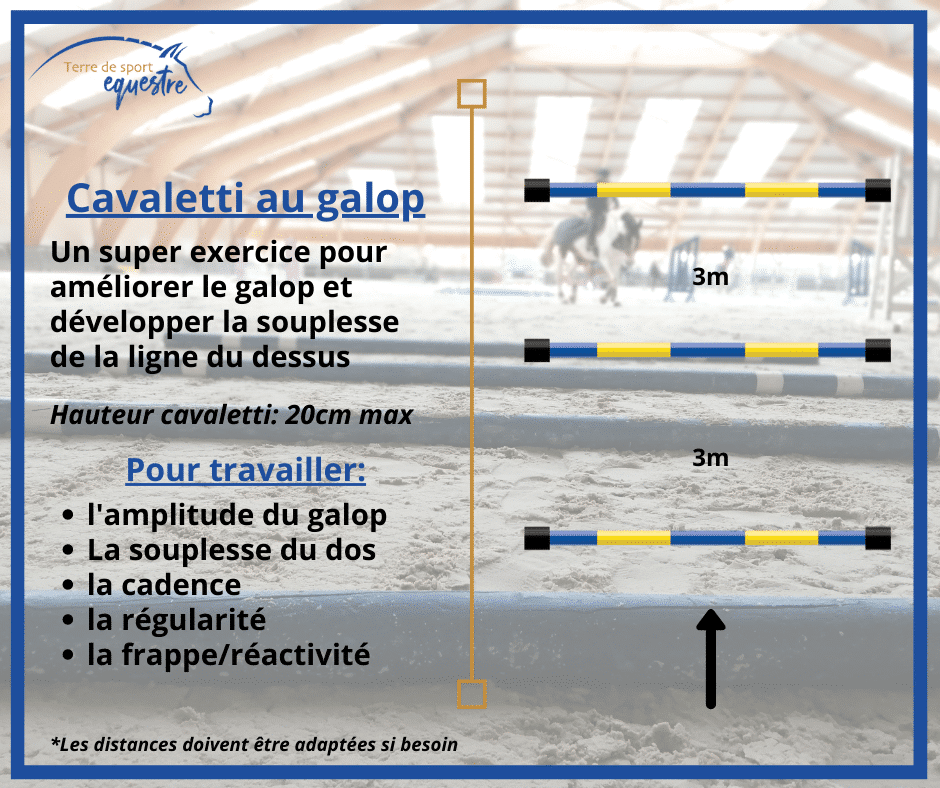 Exercices de saut d'obstacles cavaletti galop cheval cavalier terre de sport equestre