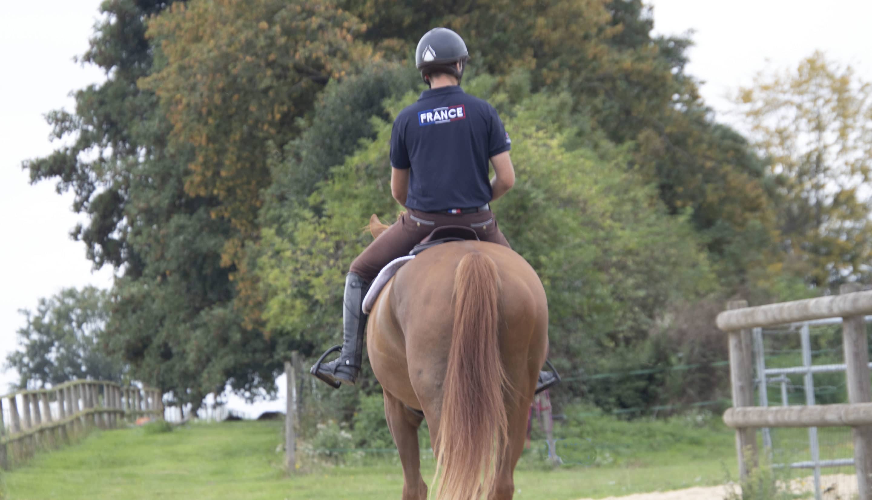 equitation progresser cheval cavalier plat et saut d obstacle