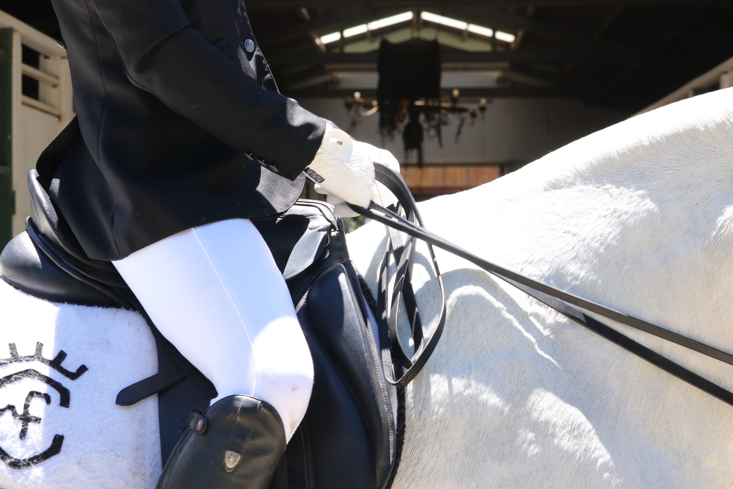josue-isai-ramos-figueroa-0tejKLSfUCo-unsplash plier les coudes position à cheval