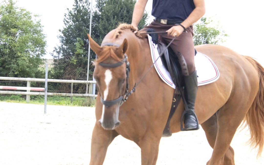 Assouplir le côté raide de votre cheval: 3 erreurs à éviter