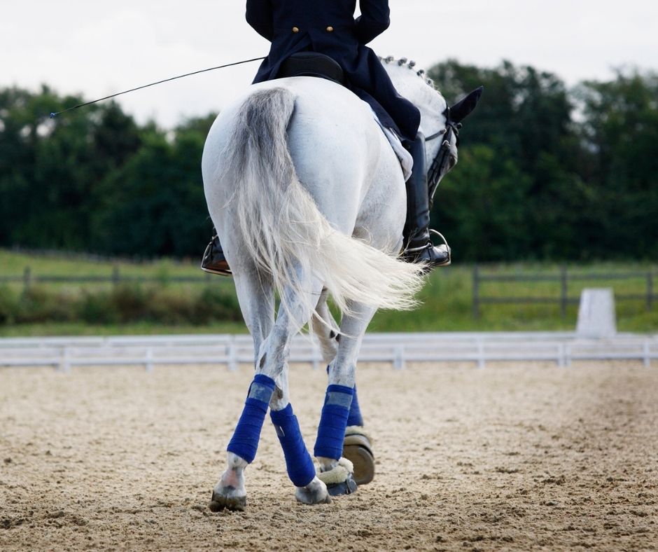 deplacement lateral cheval