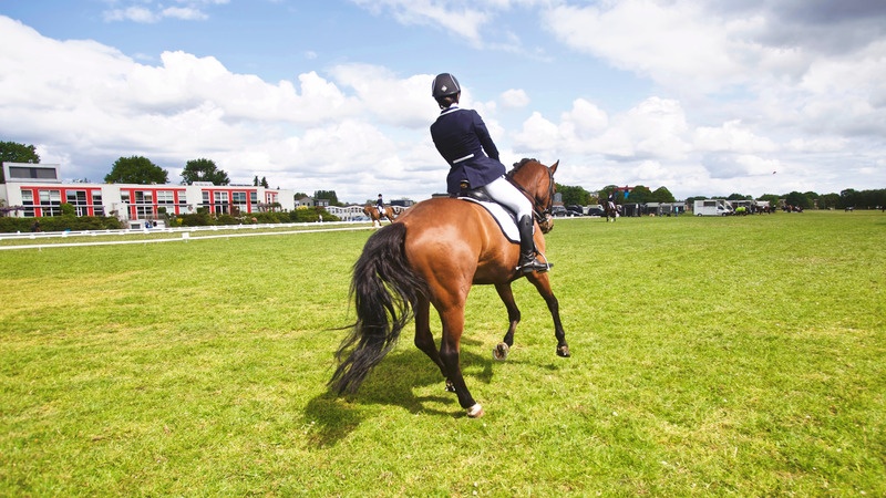 3 exercices pour améliorer l’engagement des postérieurs de mon cheval