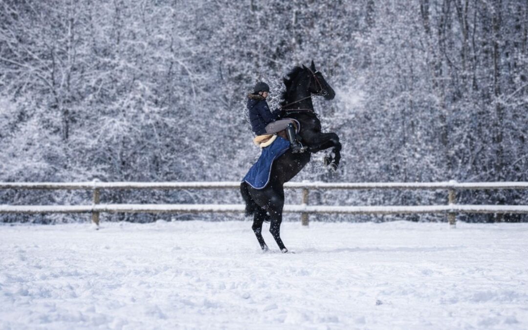 Comment gérer un cheval chaud en hiver ?