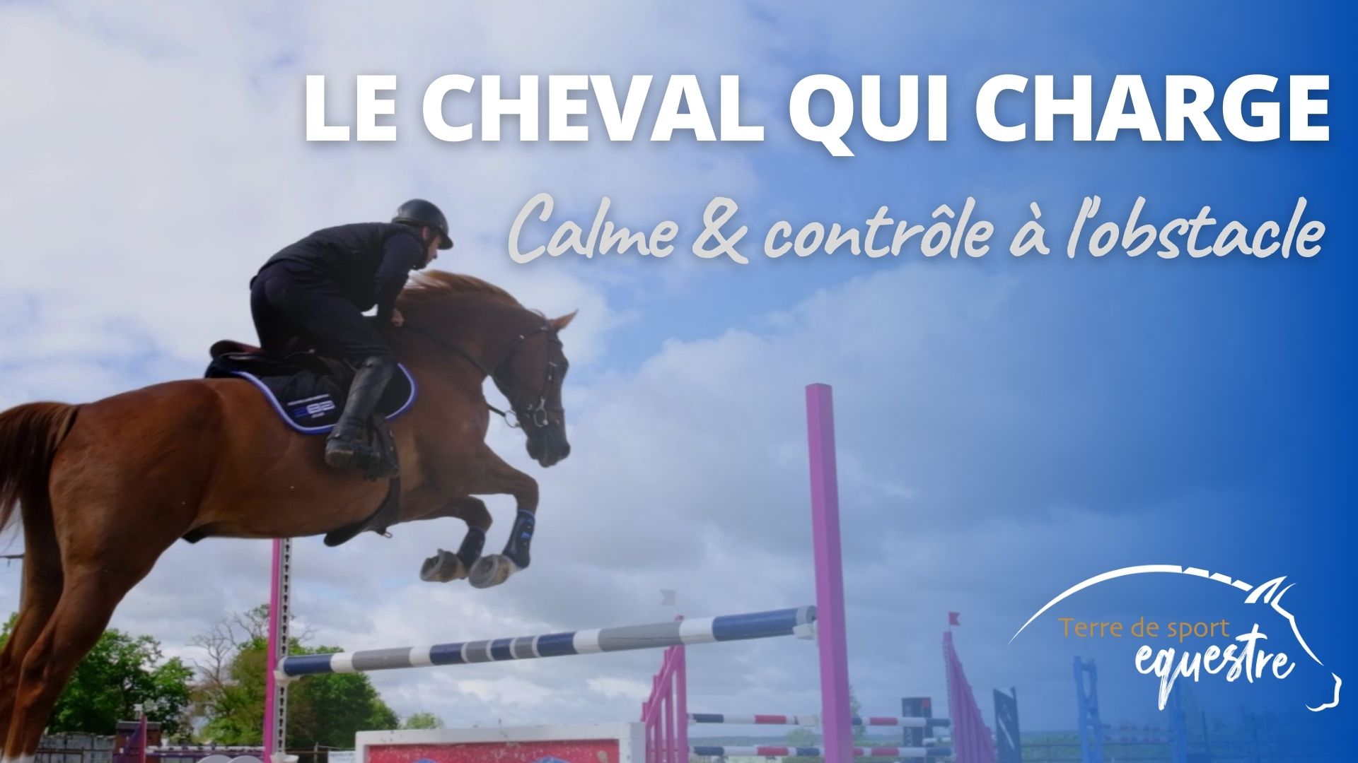 Mon cheval charge à l'obstacle