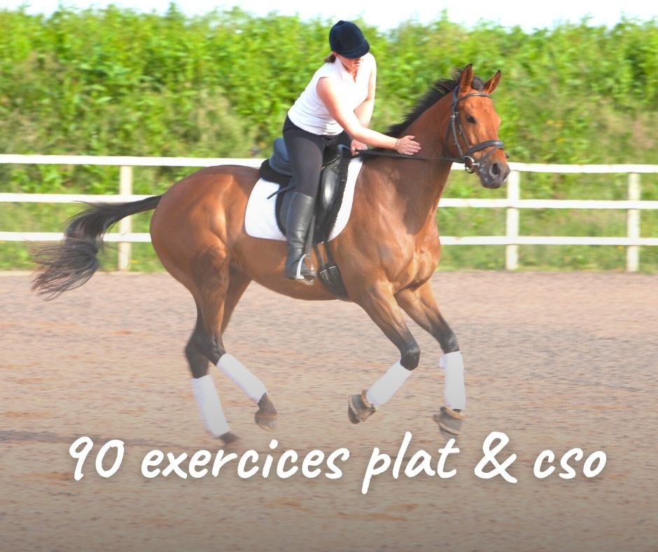exercices equitation chevaux