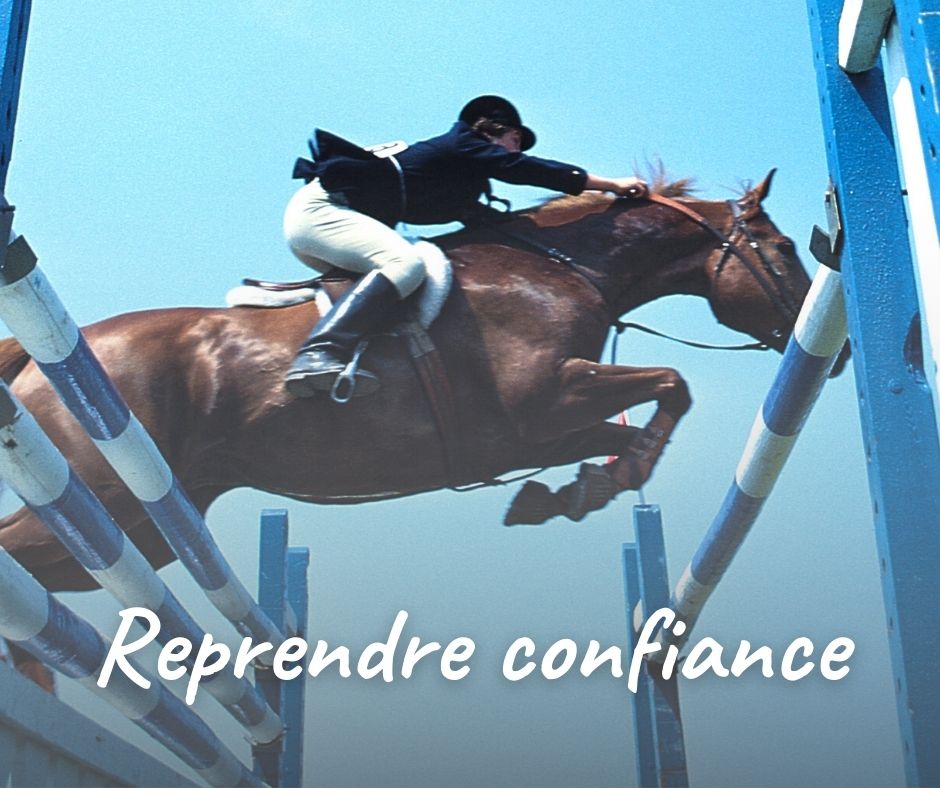 Confiance a l obstacle cheval