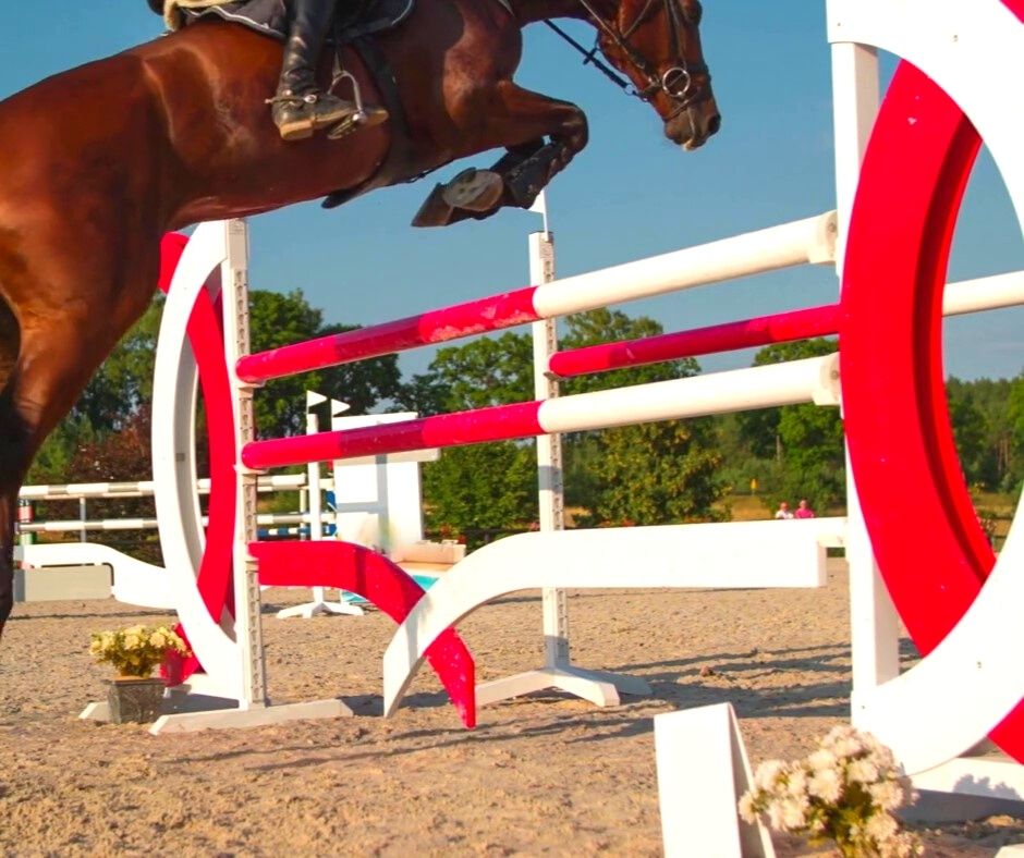 Le Sport Équestre. Saut D'obstacles. Surmonter Un Obstacle. Le Sportive Sur  Un Cheval. L'e Sur Un Cheval Rouge. Hippisme. Equitation. Les Courses  De Chevaux. Cavalier Sur Un Cheval. Banque D'Images et Photos