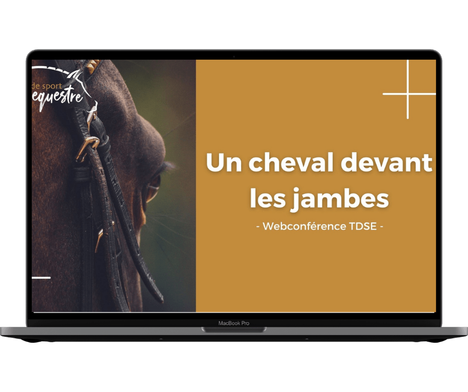 cheval repond jambes