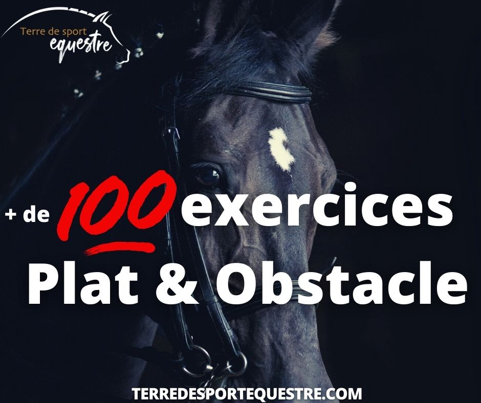 exercices equitation cheval