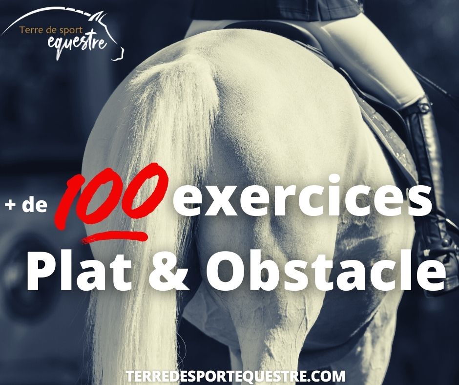 Exercices dressage et saut d'obstacles cheval cavalier