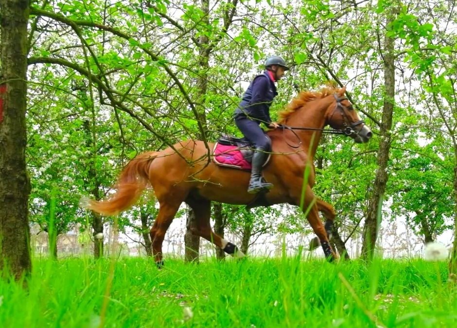 Mon cheval ne galope pas en extérieur