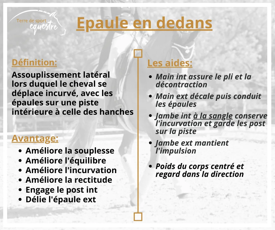 exercice-cheval-dressage