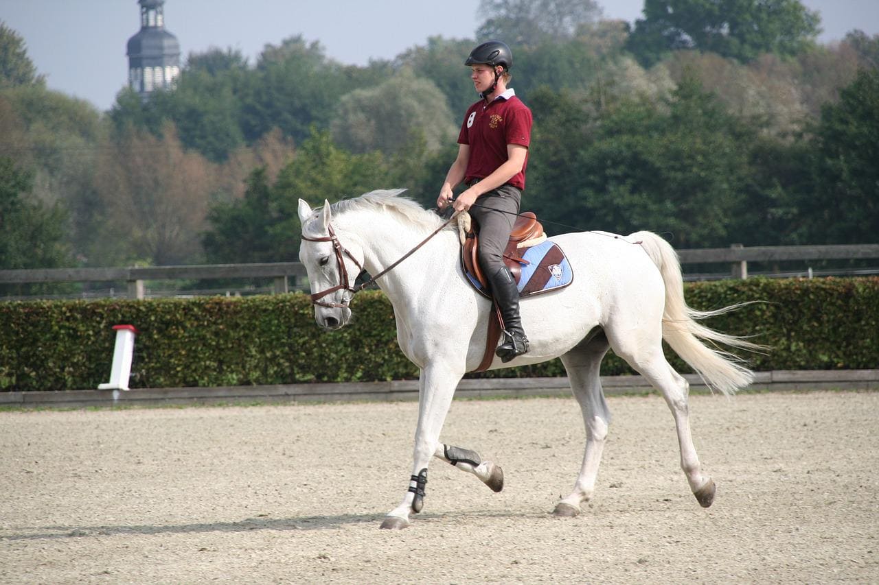 exercice cheval plat