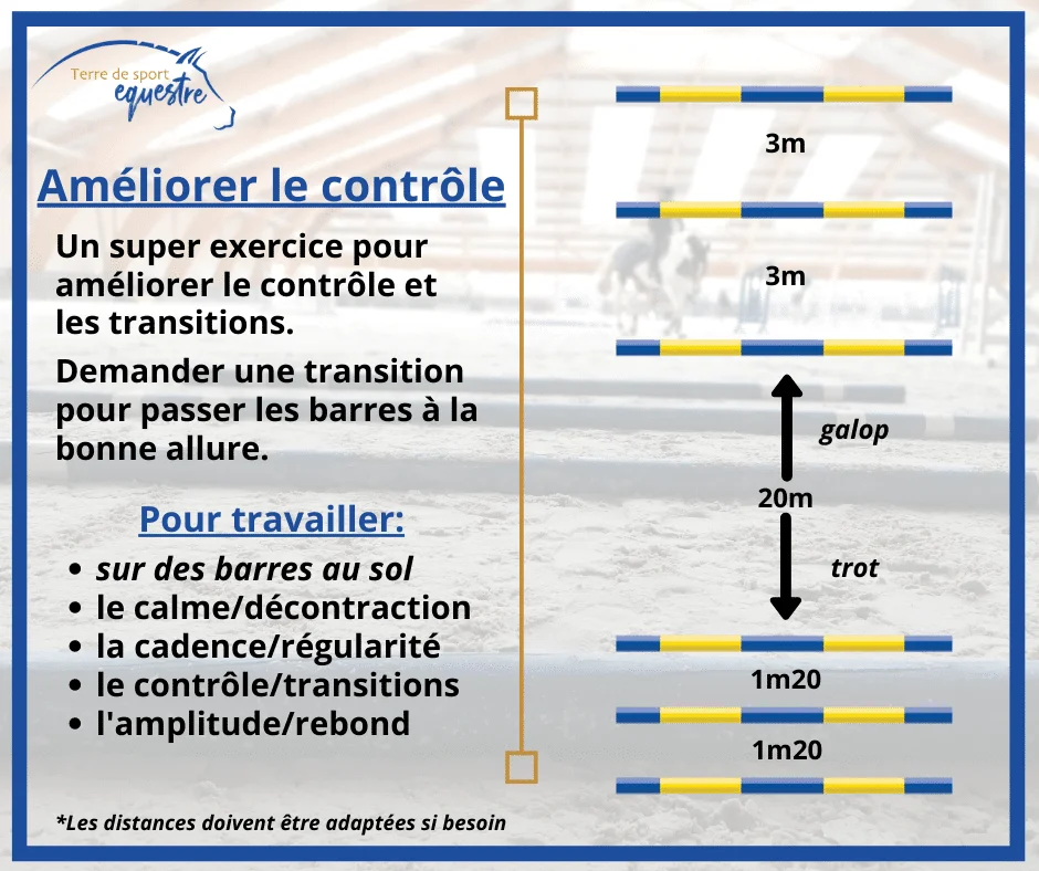 exercice transition trot pas trot