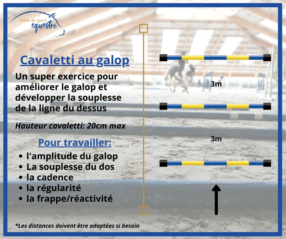 exercice obstacle pour chevaux