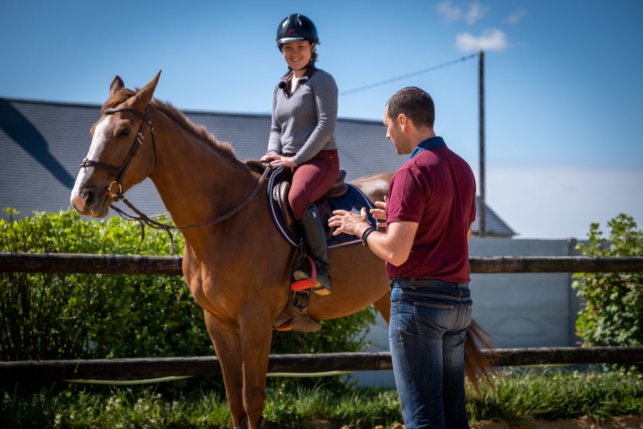 Améliorer la ligne du dessus : 4 conseils pour muscler le dos de son cheval
