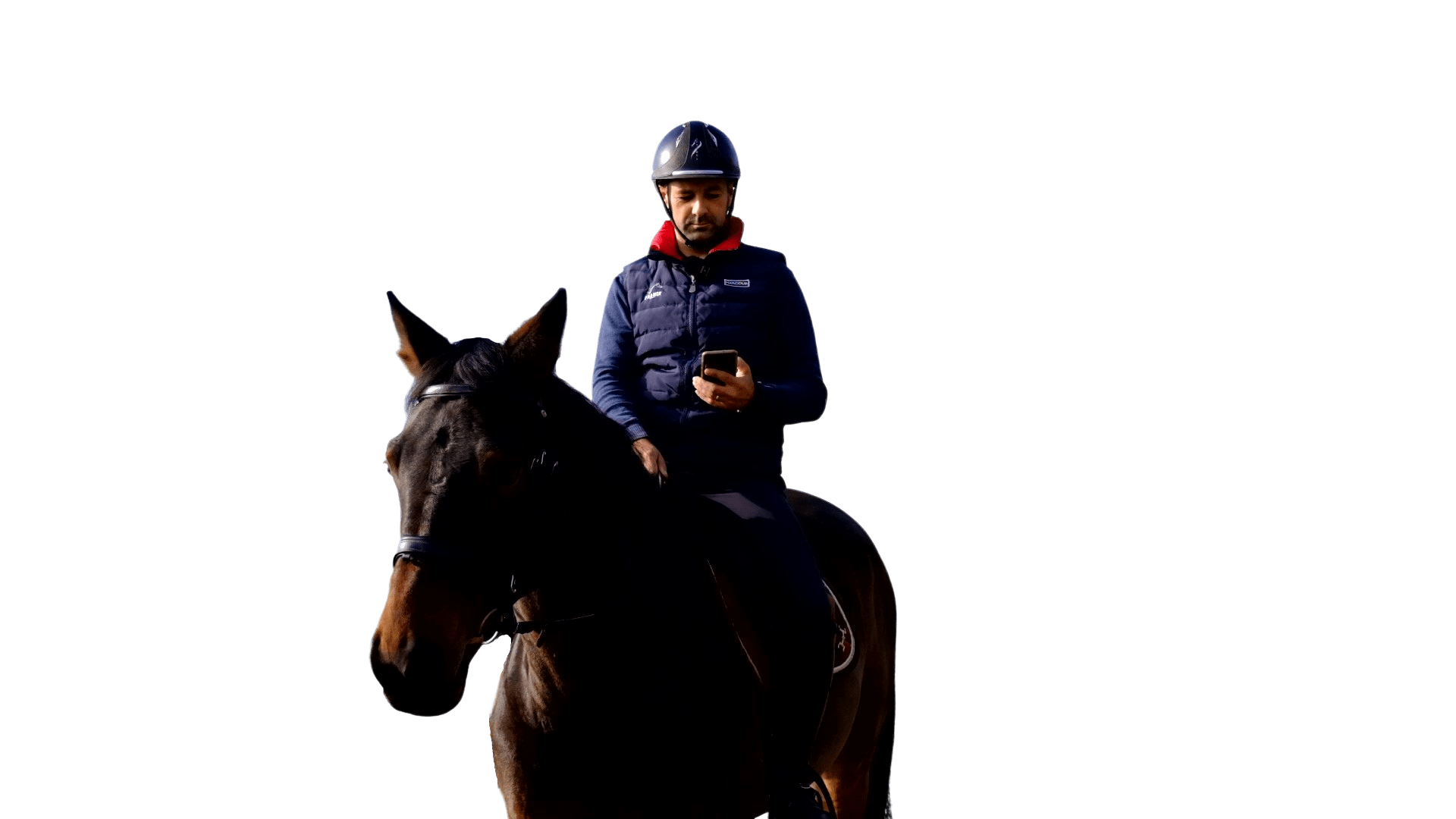 Terre de Sport Equestre (sportequestre) - Profile