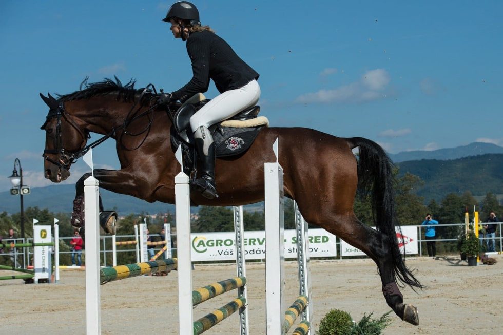 L’équitation De Saut D’obstacles : Dossier Complet ! Partie 1