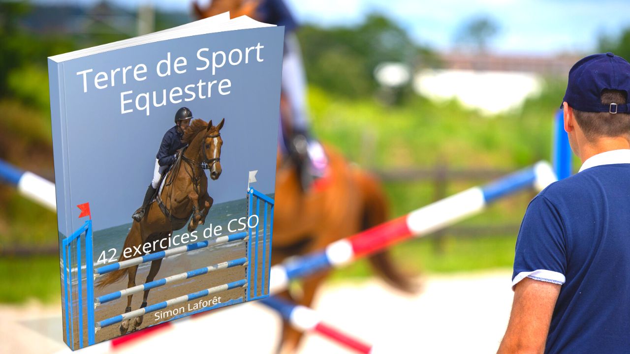 saut obstacles exercices cheval