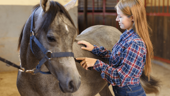 tondre son cheval