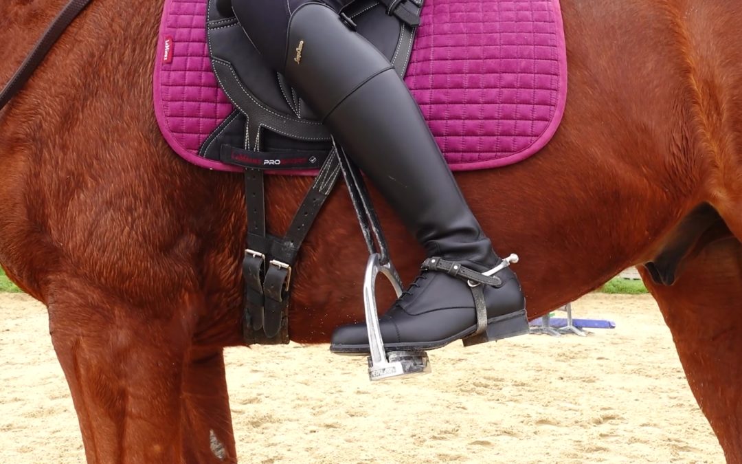 La jambe isolée en équitation