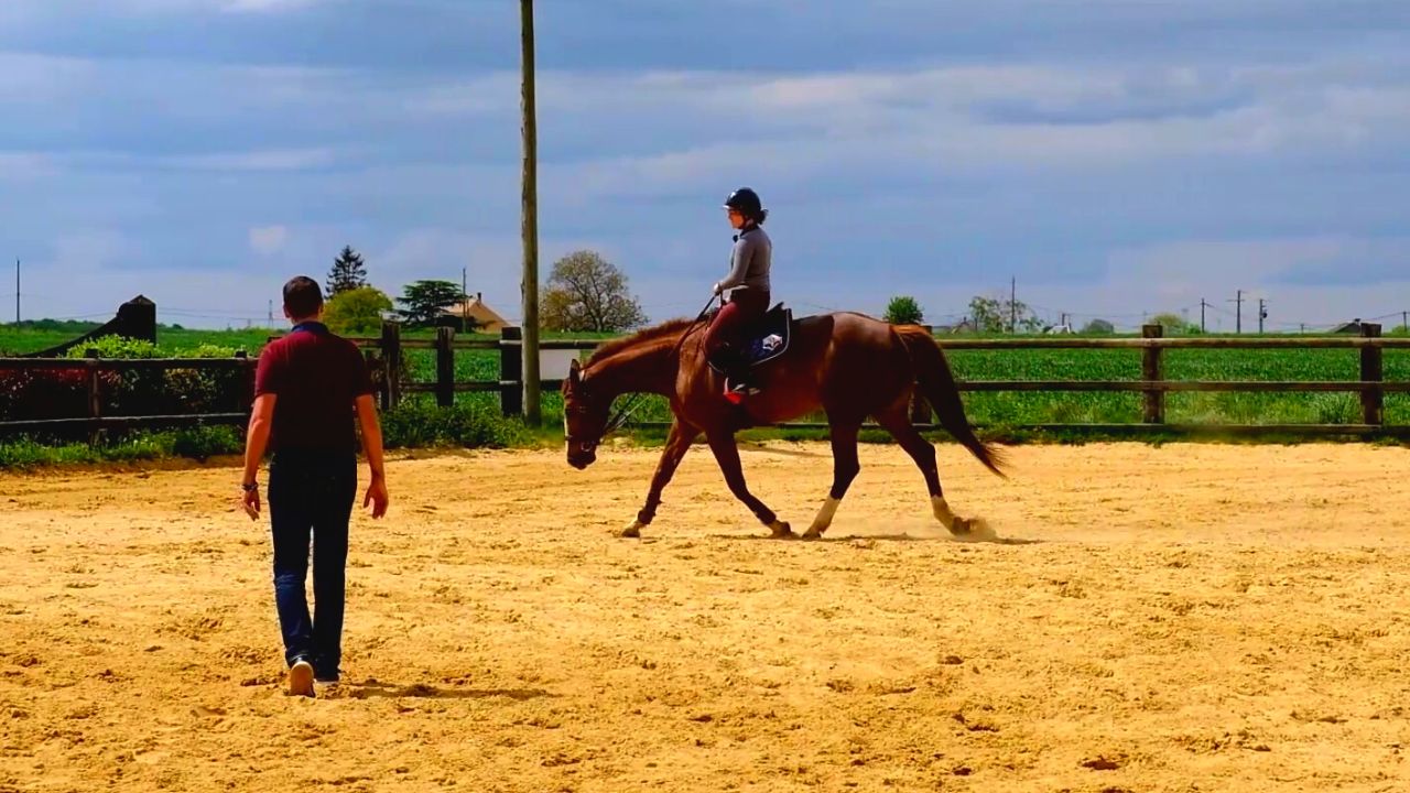 exercice assouplissement cheval