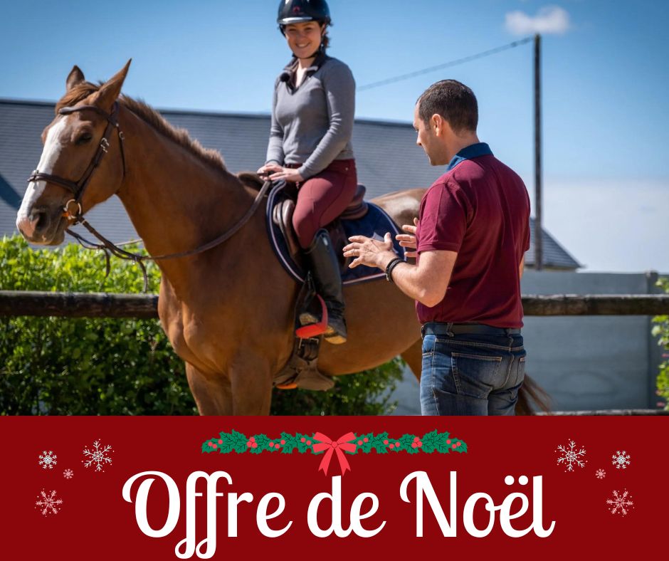 Offres Spéciales Noël - Terre de Sport Equestre