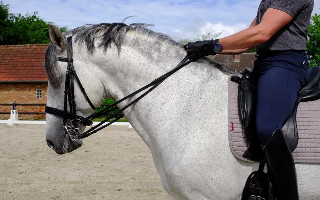 Comment avoir les mains fixes pour avoir un cheval stable