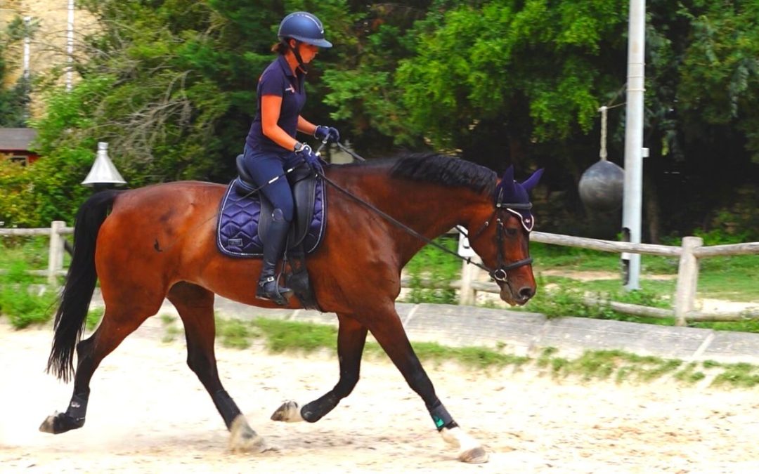 Améliorer la flexibilité et la décontraction de votre cheval