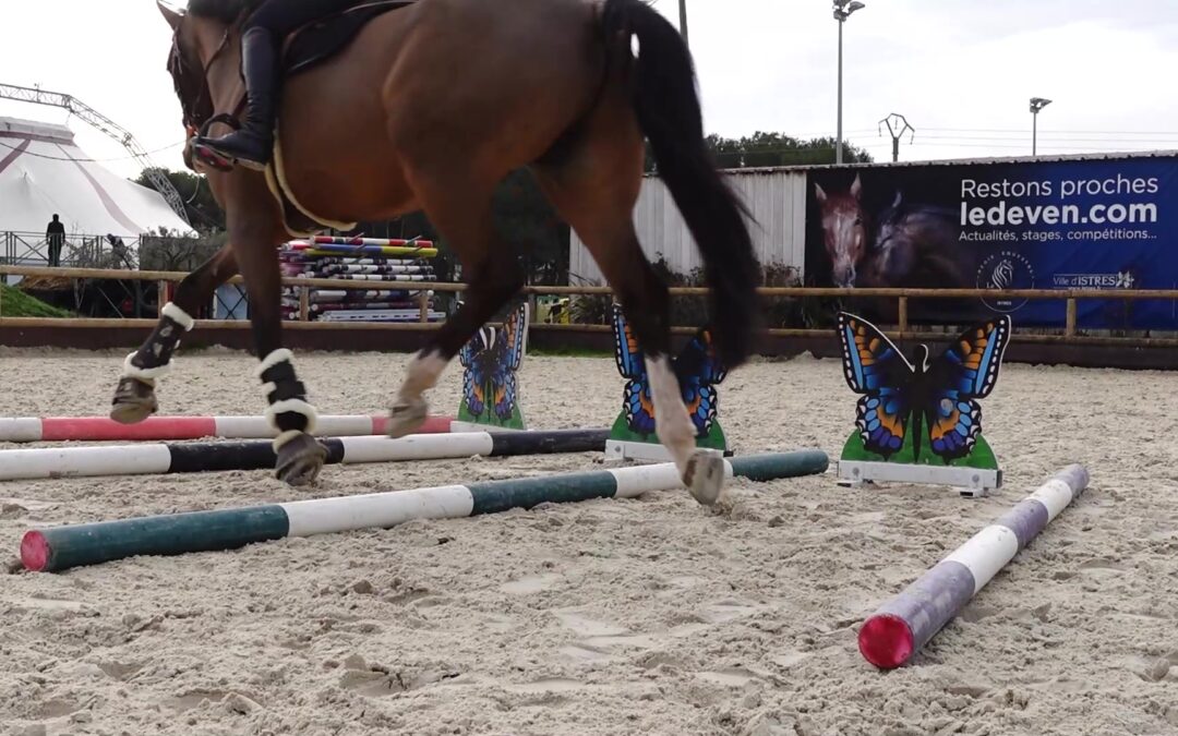 Améliorez l’engagement des postérieurs de votre cheval avec cet exercice de barres au sol