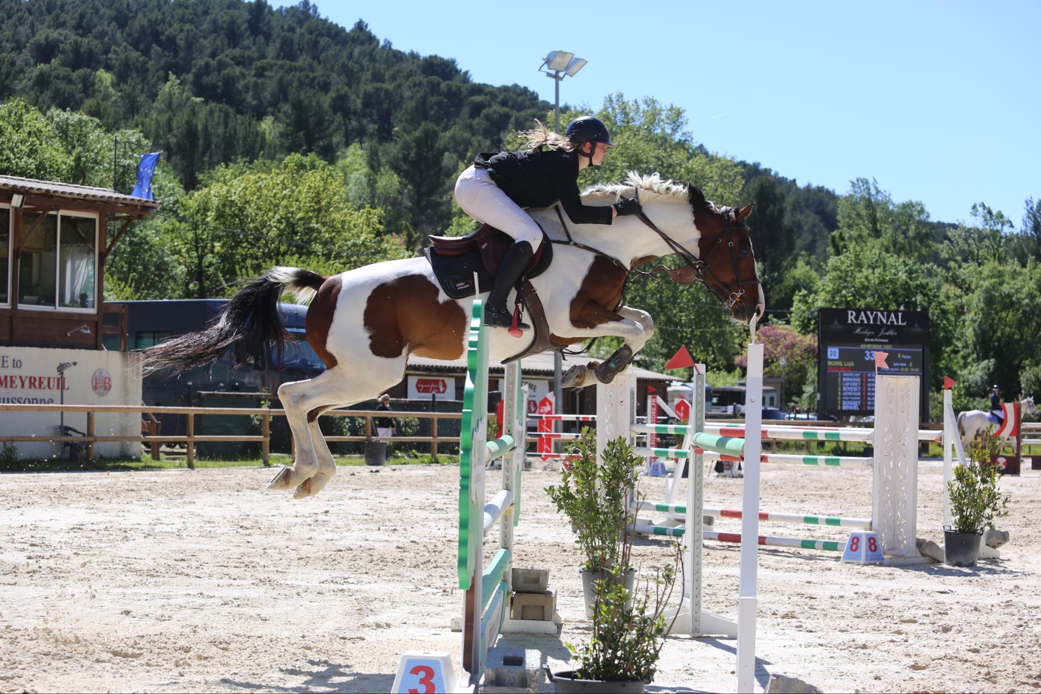 Le bon exercice entre deux concours de saut d'obstacles