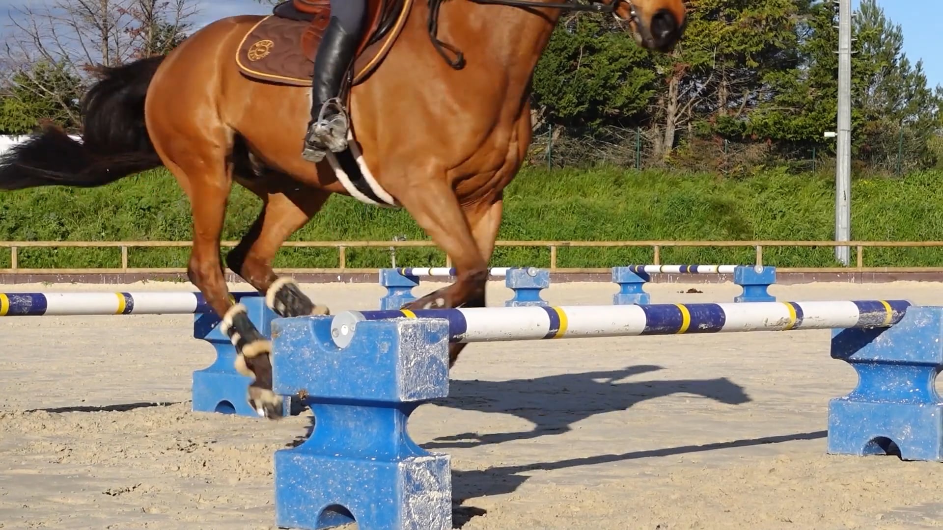 programme cheval léger