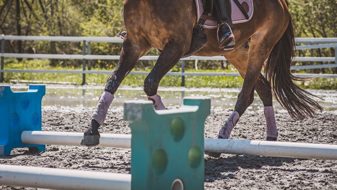 cavaletti cheval