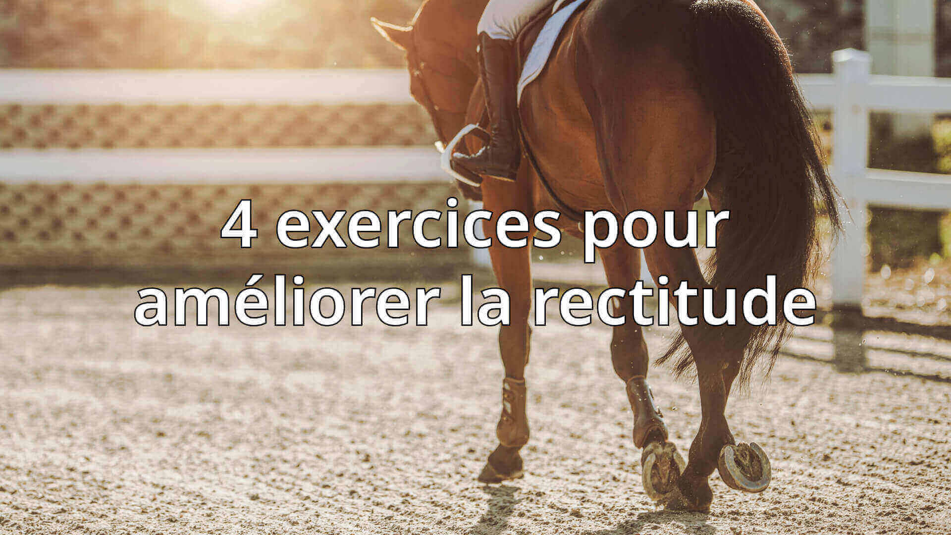 exercice rectitude cheval