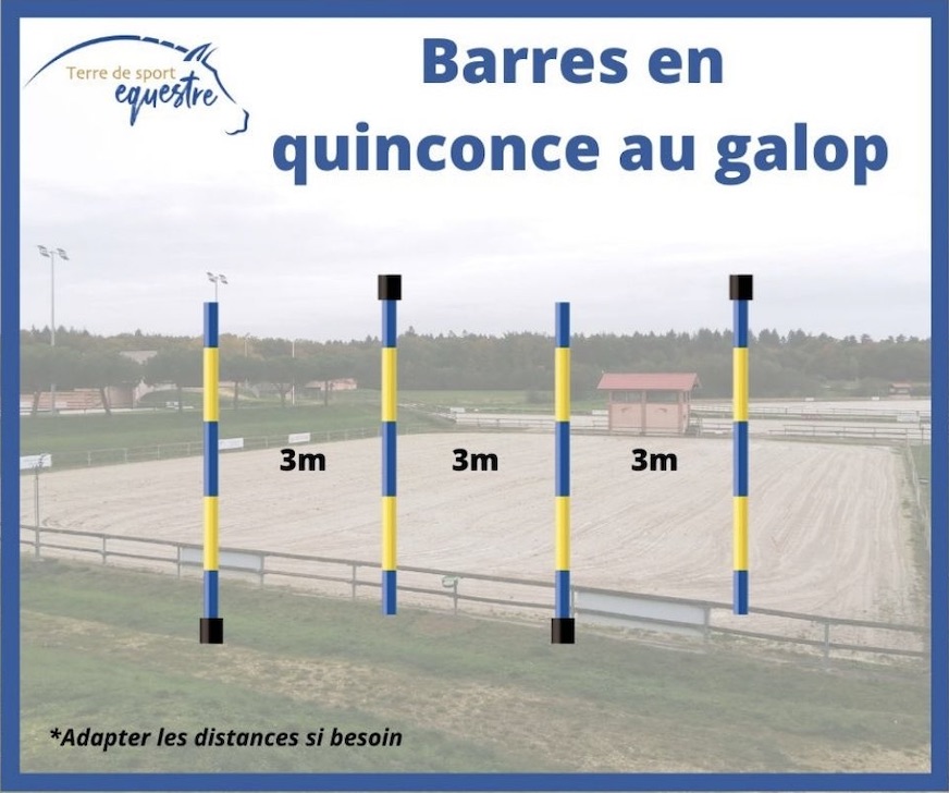 barres en quinconce au galop