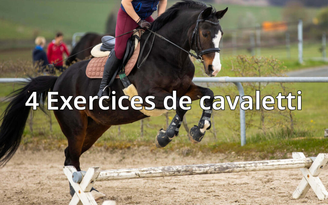 Exercice cavaletti cheval : 4 idées pour progresser