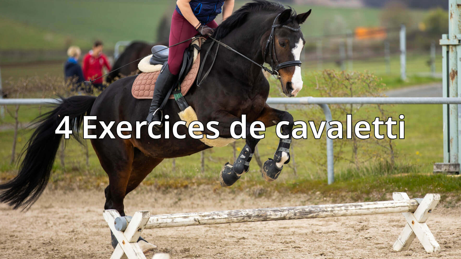 Exercice cavaletti cheval