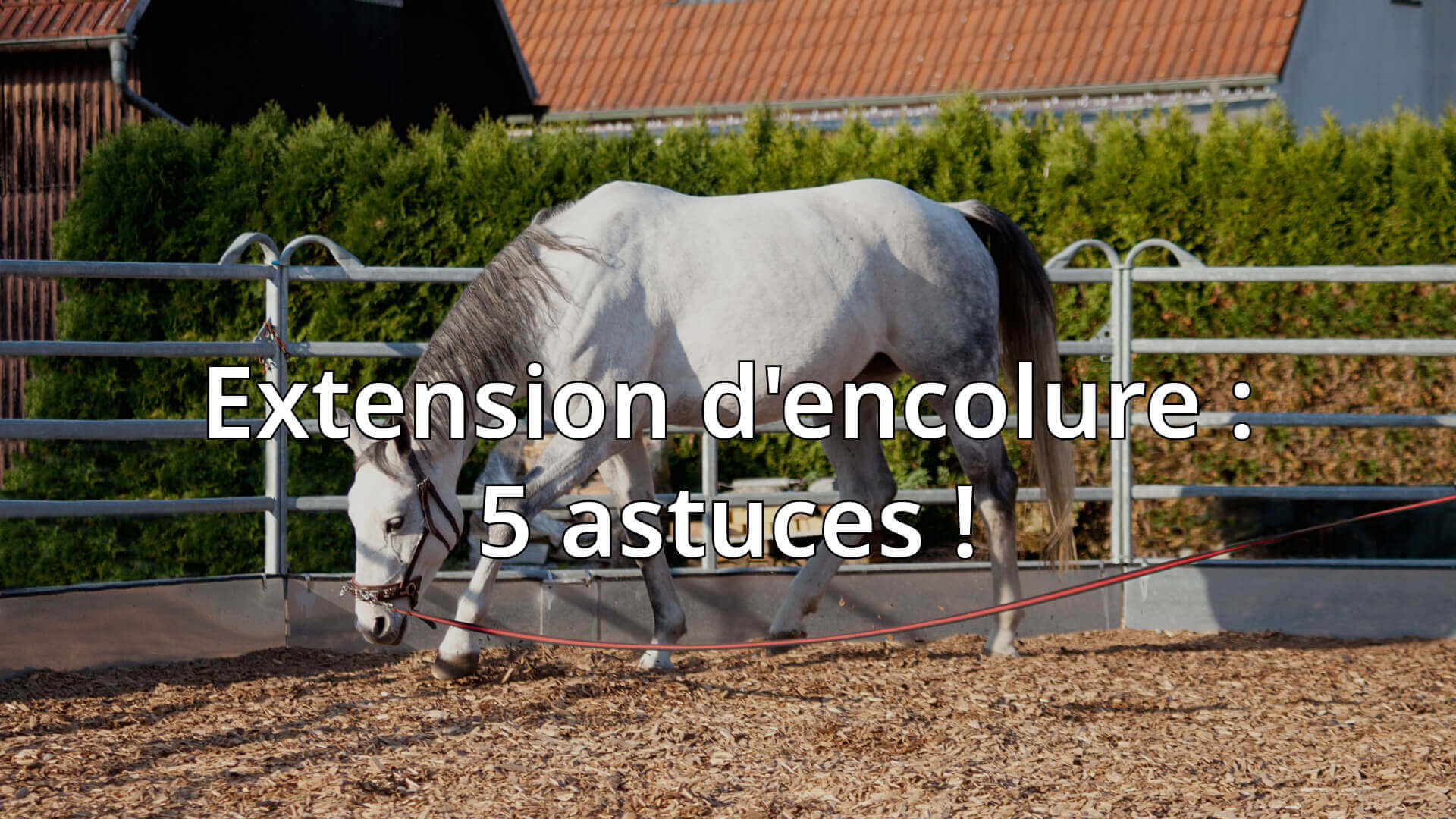 extension d'encolure