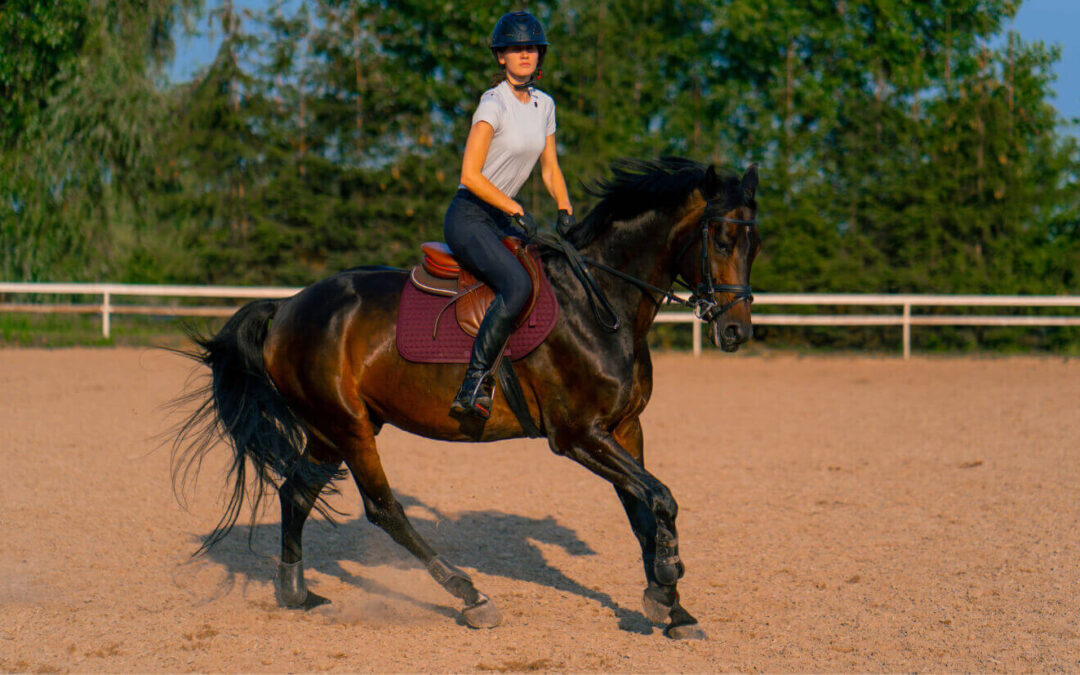 Pourquoi votre position coûte peut-être plus cher que vous ne le pensez à votre cheval