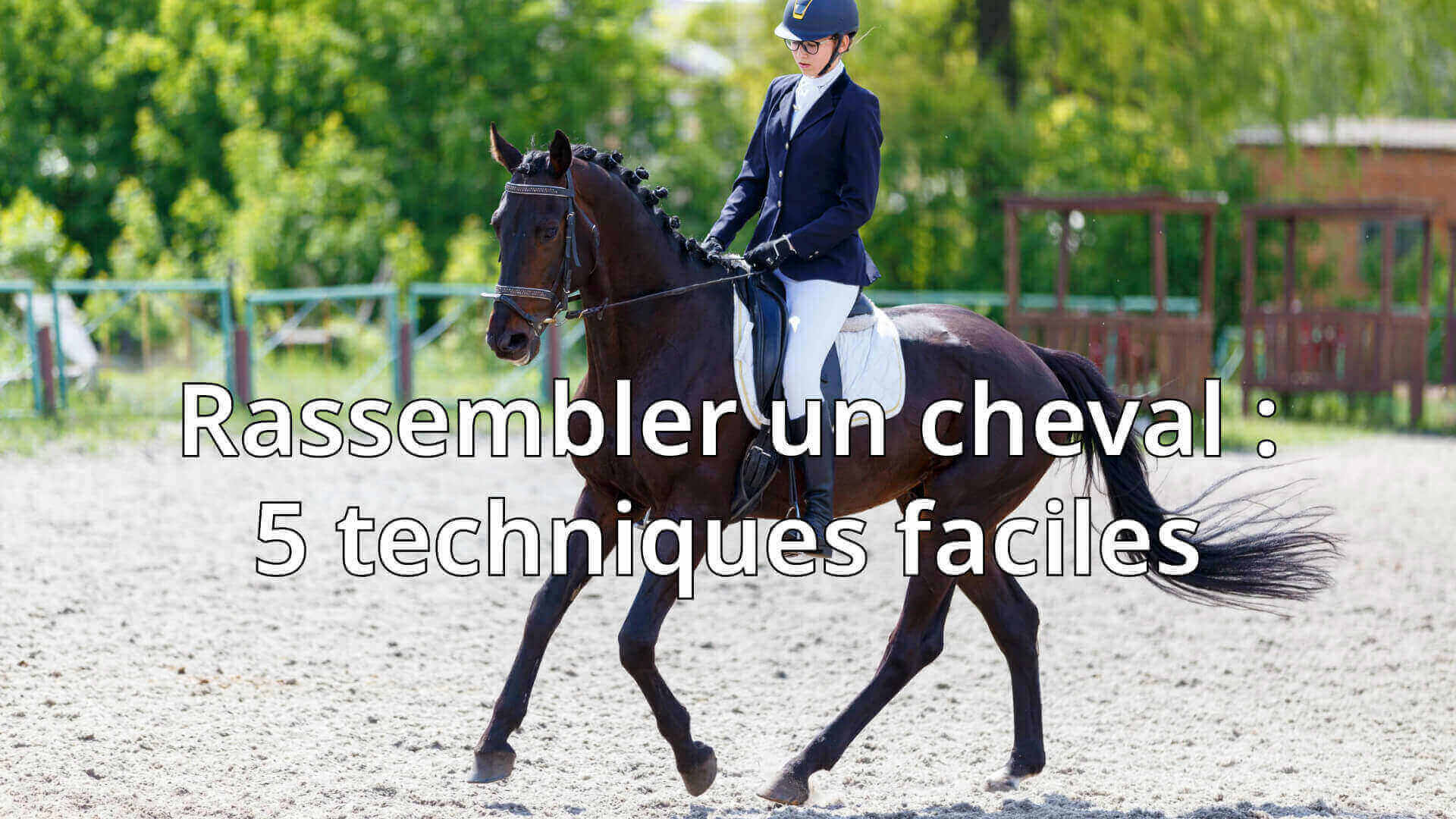 rassembler un cheval