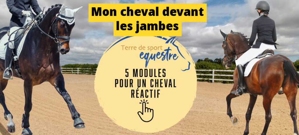 Cheval devant les jambes