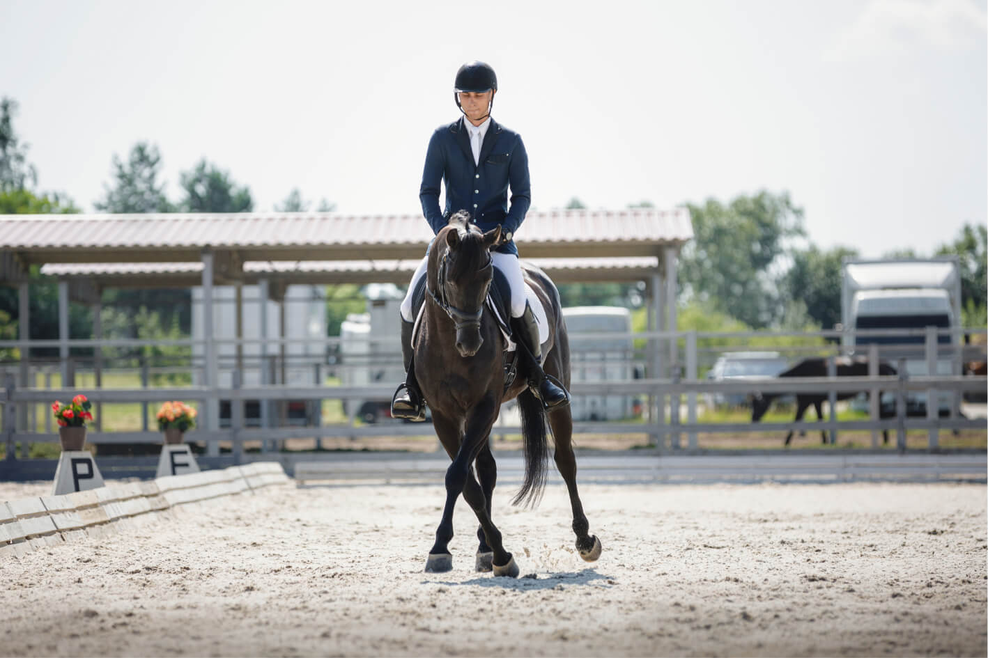 concours-harcour-dressage