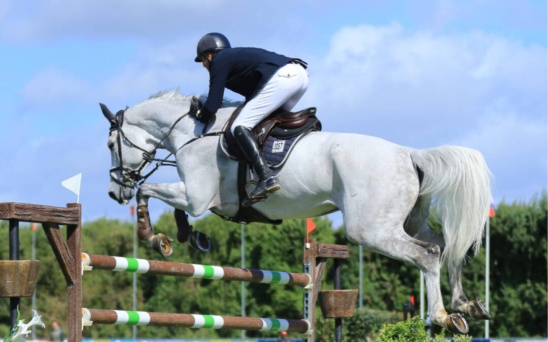 Cheval qui embarque entre les obstacles : 3 exercices