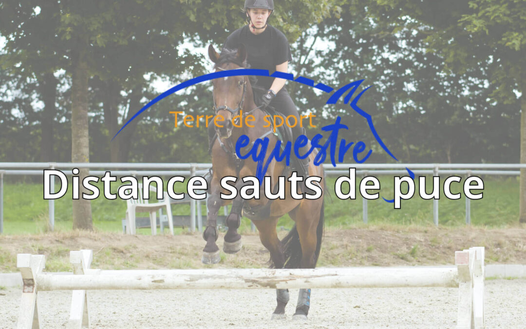 Distance Saut de Puce : 5 Astuces Essentielles pour Maîtriser Cet Exercice Clé