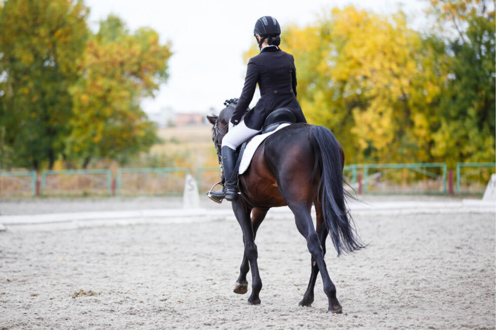 Reprise Dressage Galop 4 PDF + Décryptage complet - Terre de Sport Equestre