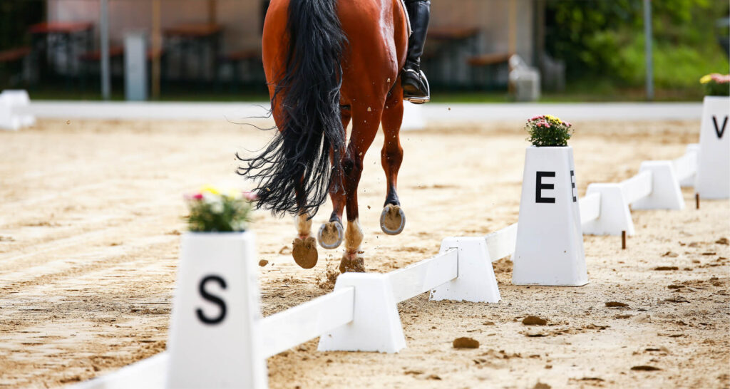 Reprise dressage