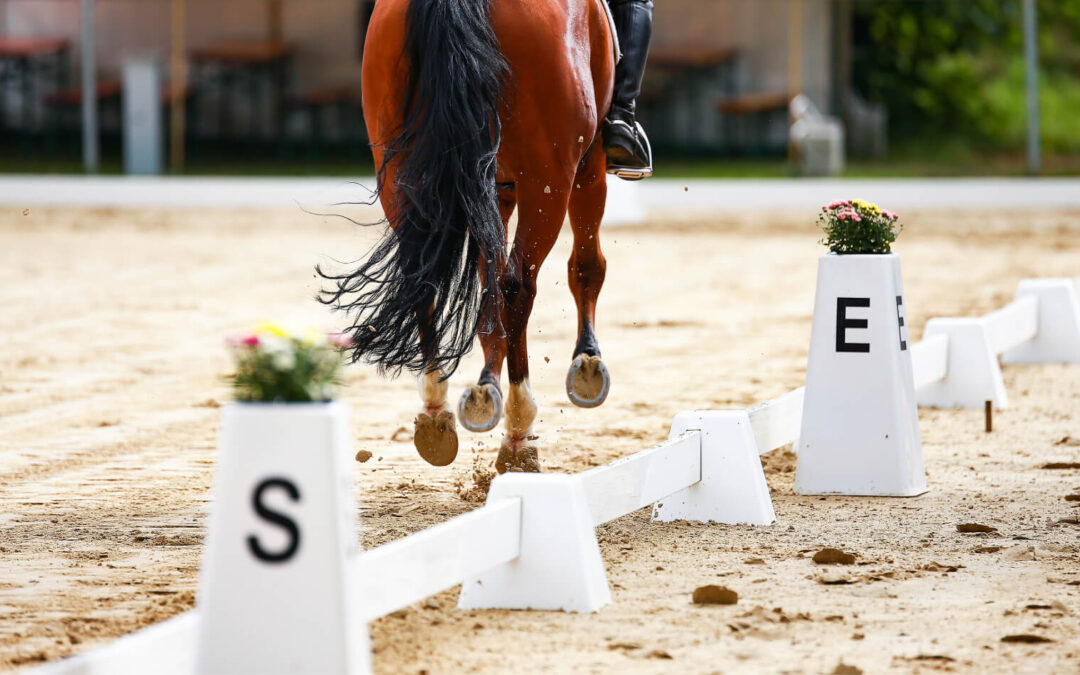 Reprise dressage