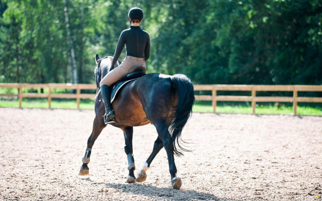 Équitation : La mise en selle est elle vraiment désuète ?