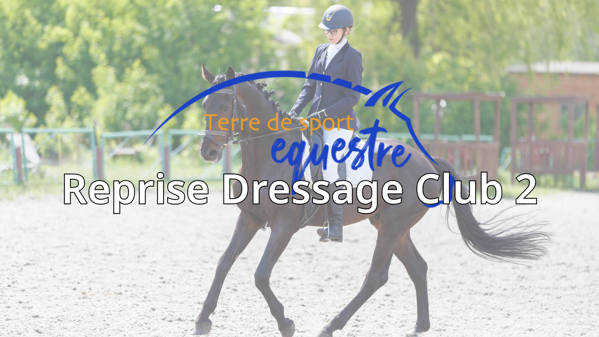 reprise dressage club 2